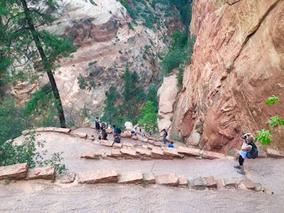 Hike to Angels Landing in Zion National Park