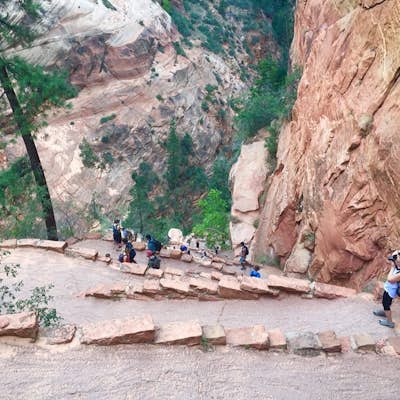 Hike to Angels Landing in Zion National Park