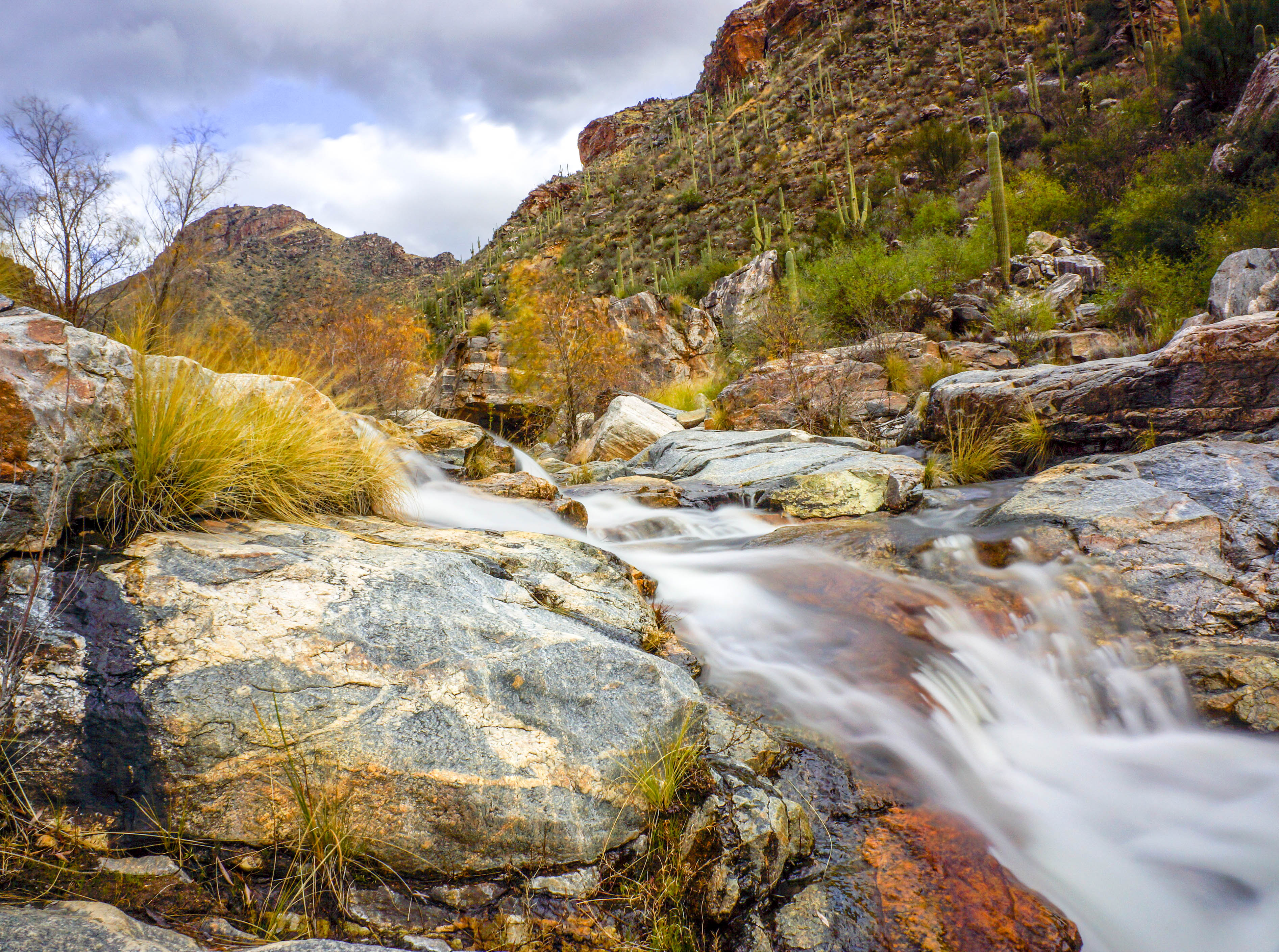 Seven Falls via Bear Canyon