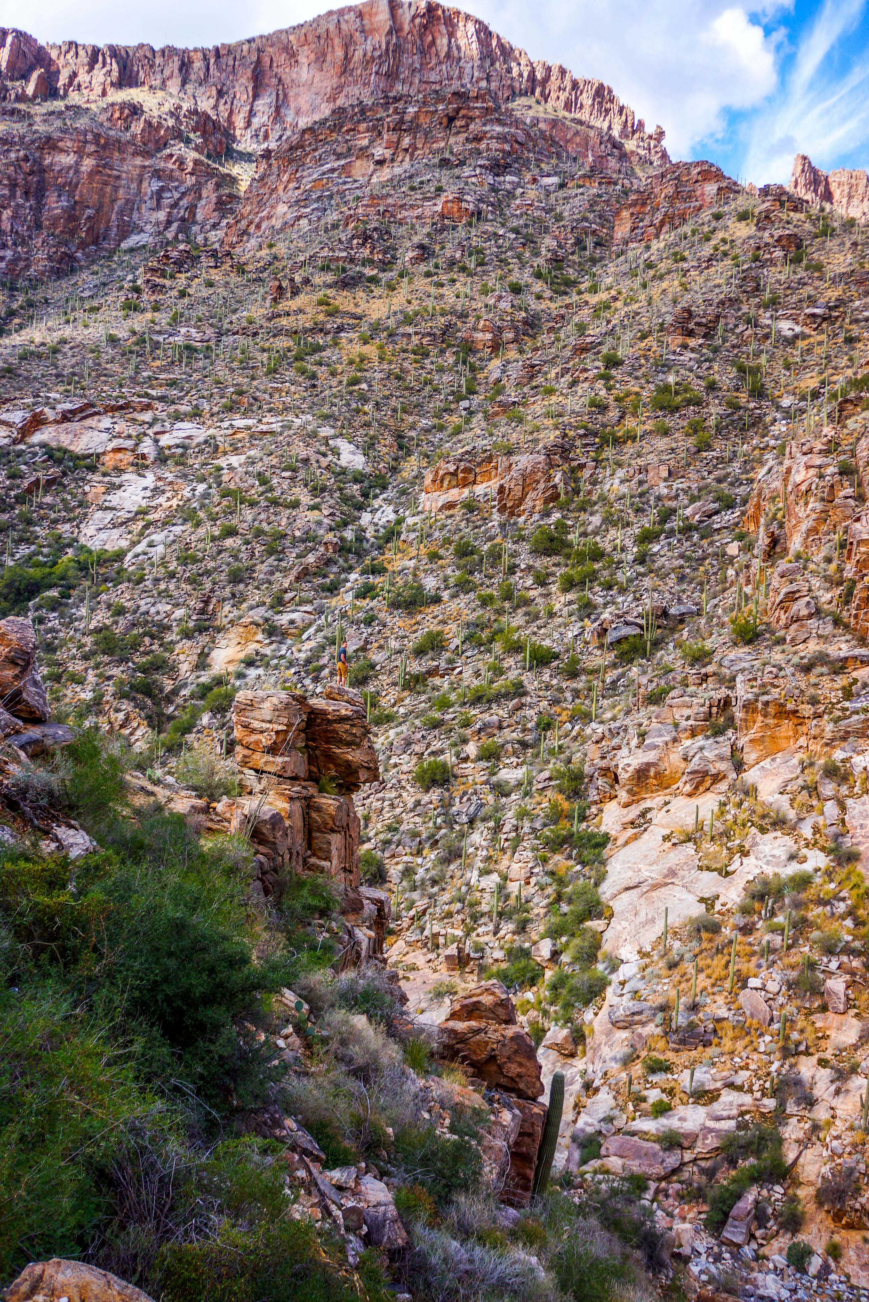 Seven Falls via Bear Canyon