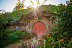 Explore Hobbiton