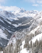 Ski or Snowboard the Burnt Mountain Glades of Snowmass