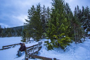 Snowshoe or Cross-Country Ski to Trillium Lake