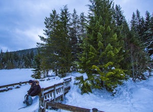 Snowshoe or Cross-Country Ski to Trillium Lake