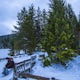 Snowshoe or Cross-Country Ski to Trillium Lake