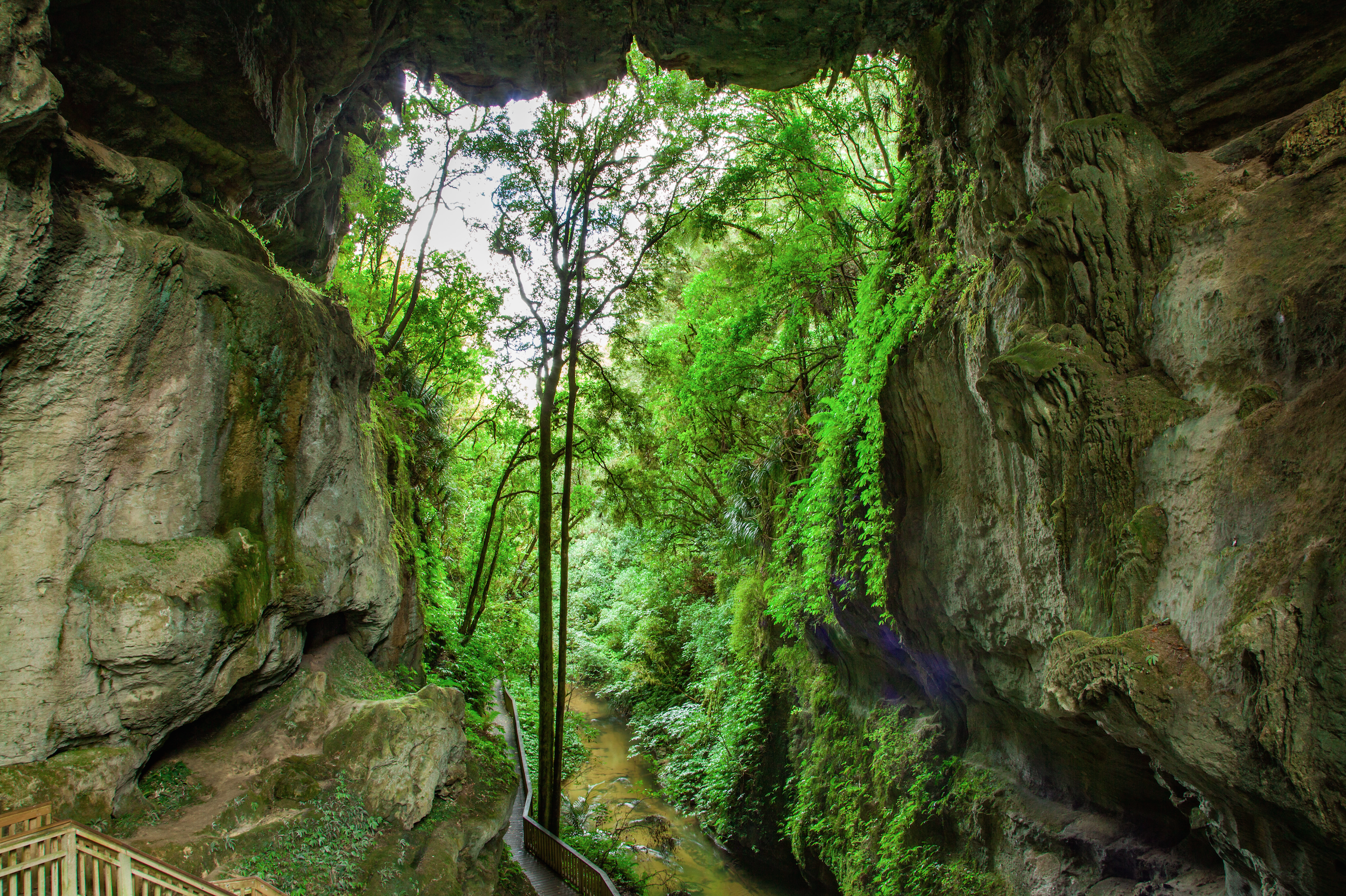 Explore the Mangapohue Natural Bridge