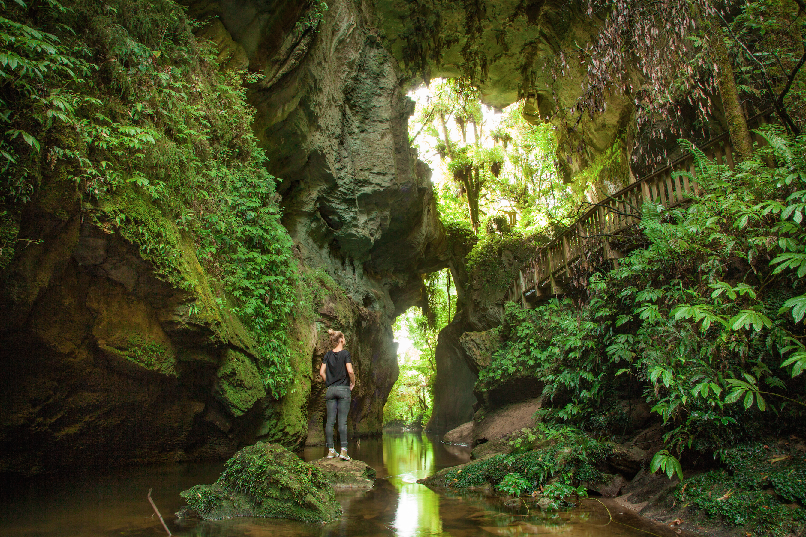 Explore the Mangapohue Natural Bridge