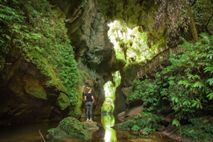 Explore the Mangapohue Natural Bridge