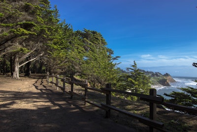 Explore the Cypress Tree Tunnels at Moss Beach, Cypress Cove Entrance