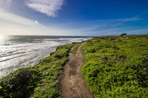 Pillar Point Bluff Loop