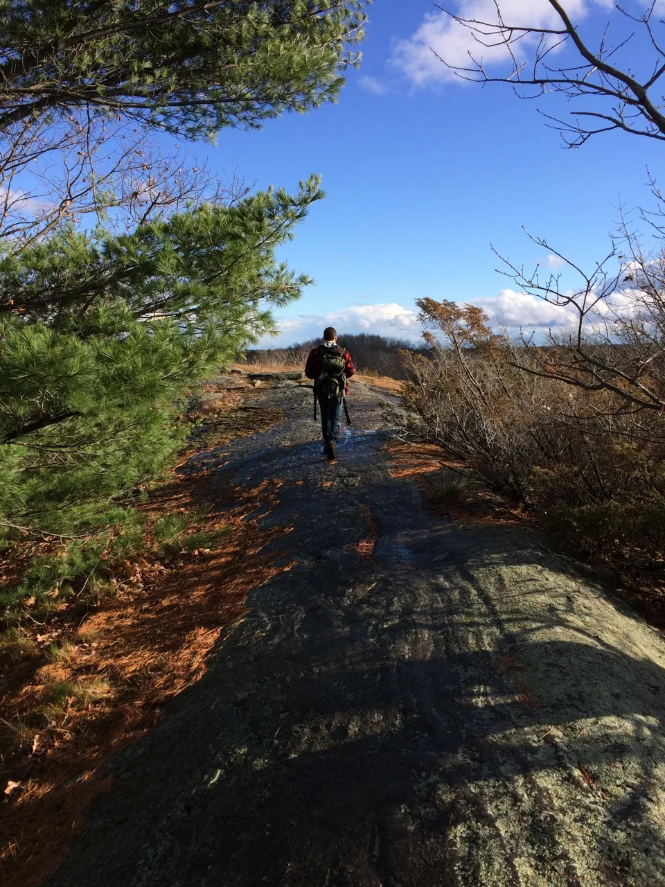 Hike the Torrance Barrens Main Trail