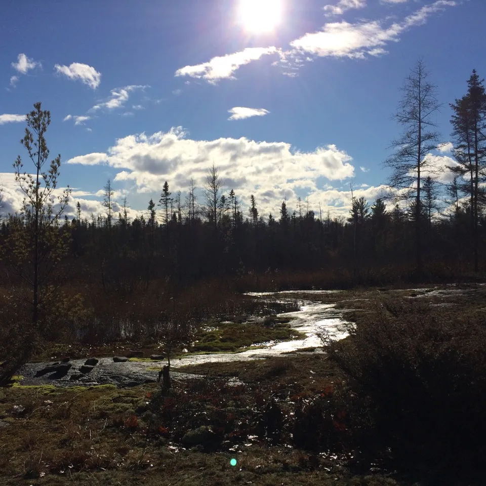 Hike the Torrance Barrens Main Trail