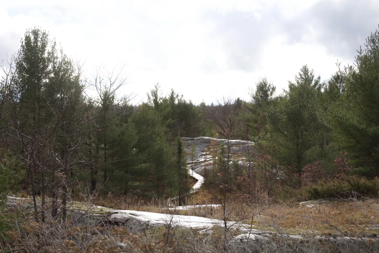 Hike the Torrance Barrens Main Trail