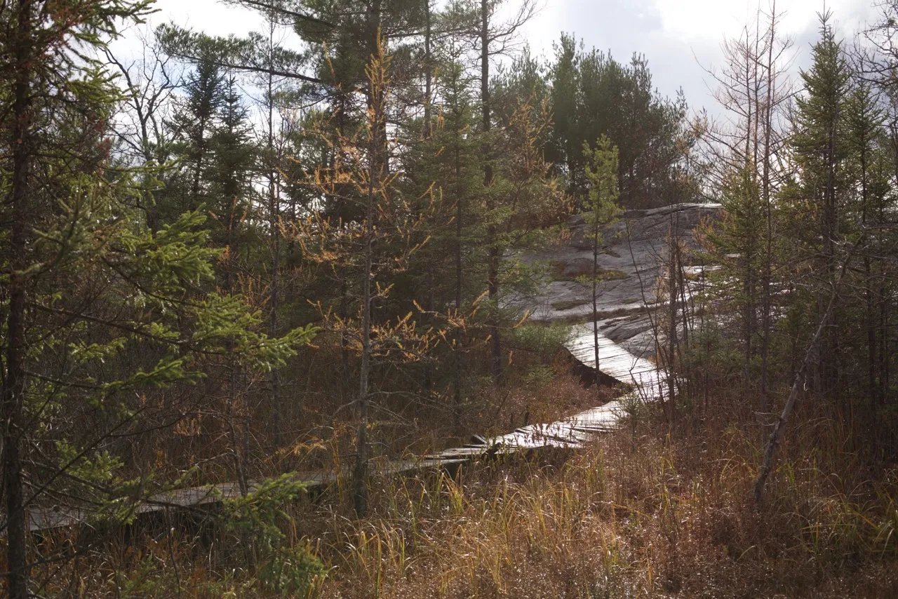 Hike the Torrance Barrens Main Trail