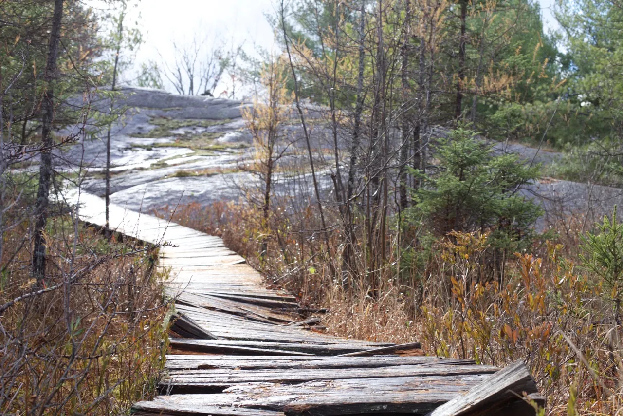 Hike the Torrance Barrens Main Trail