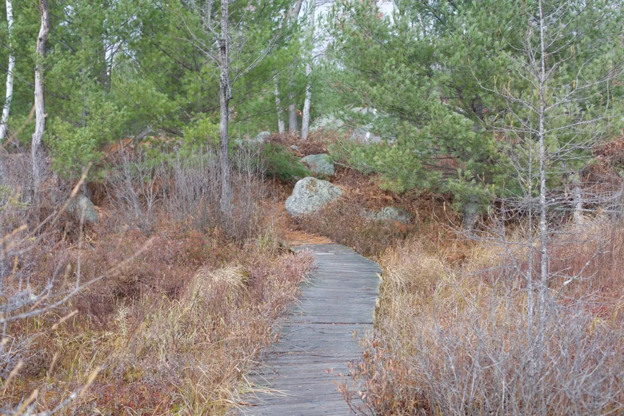 Hike the Torrance Barrens Main Trail
