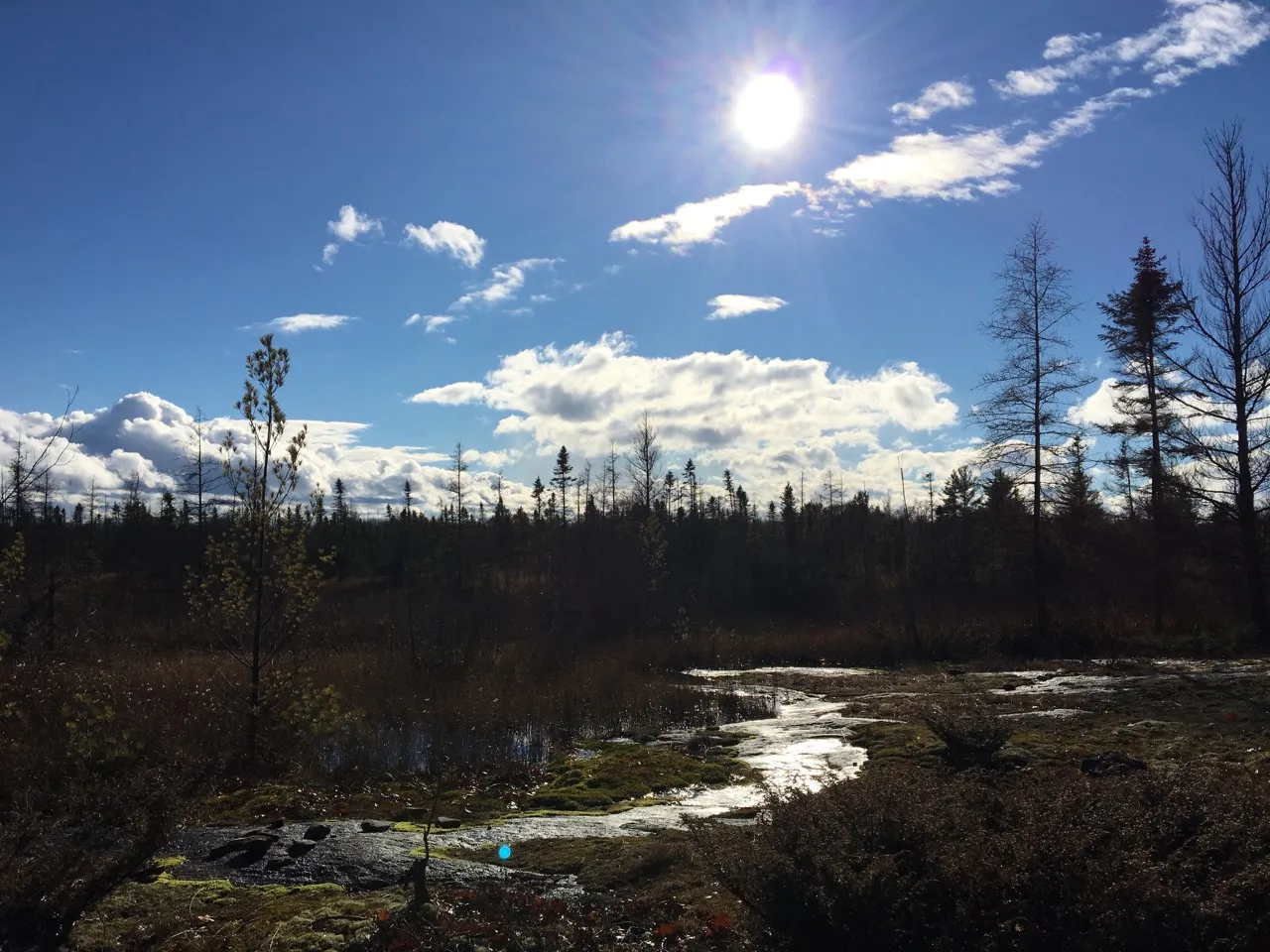 Hike the Torrance Barrens Main Trail