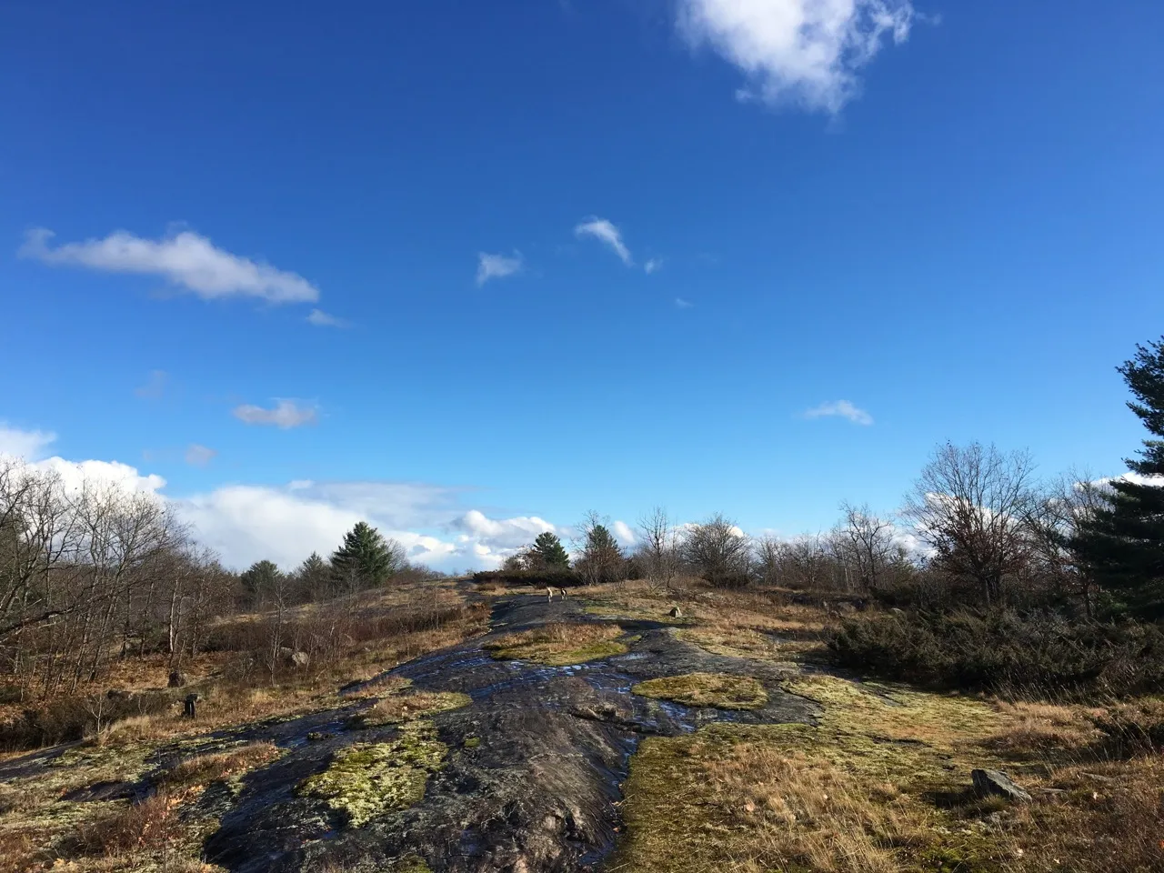 Hike the Torrance Barrens Main Trail