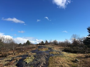 Hike the Torrance Barrens Main Trail