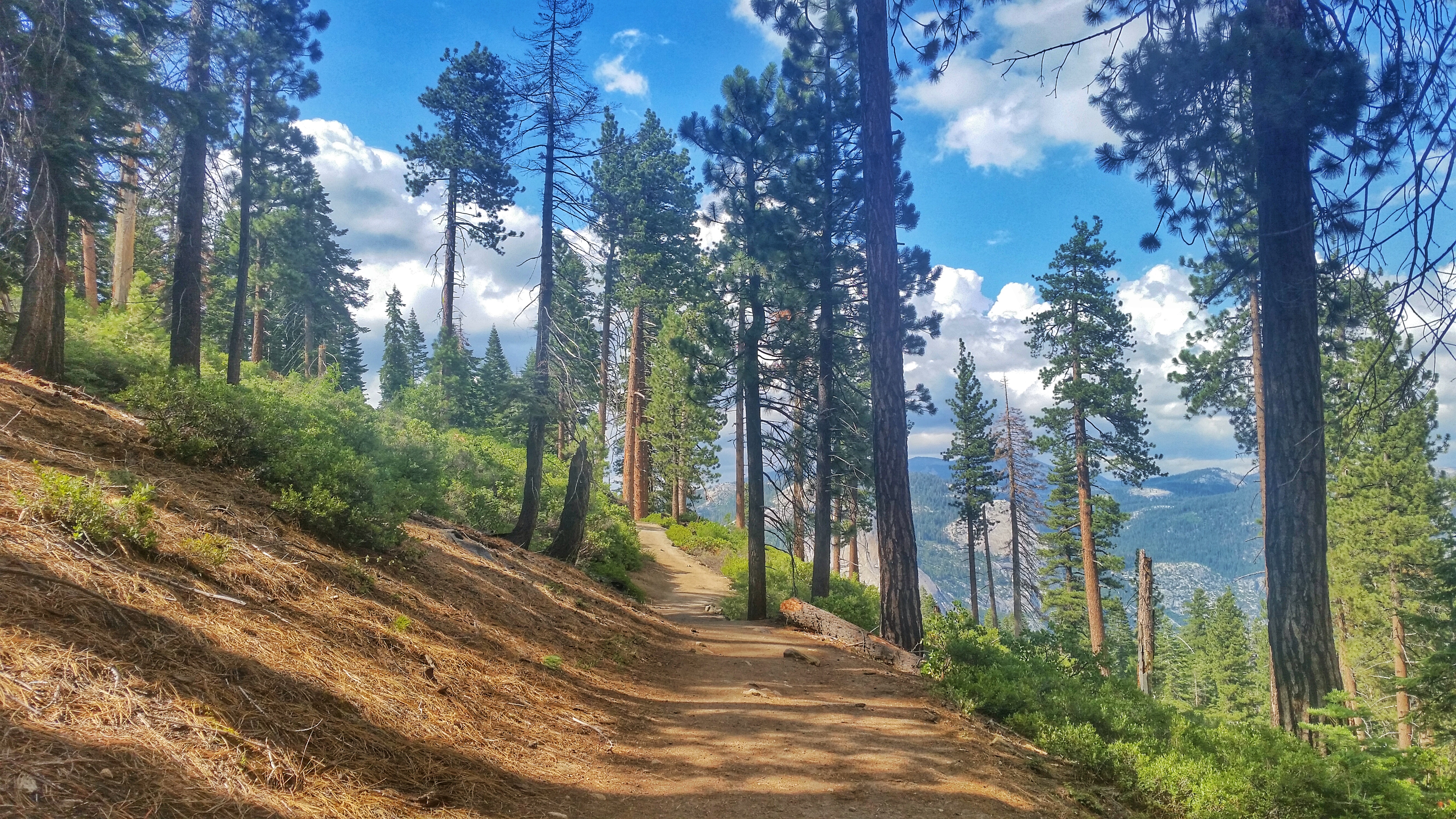Illilouette Falls in Yosemite National Park