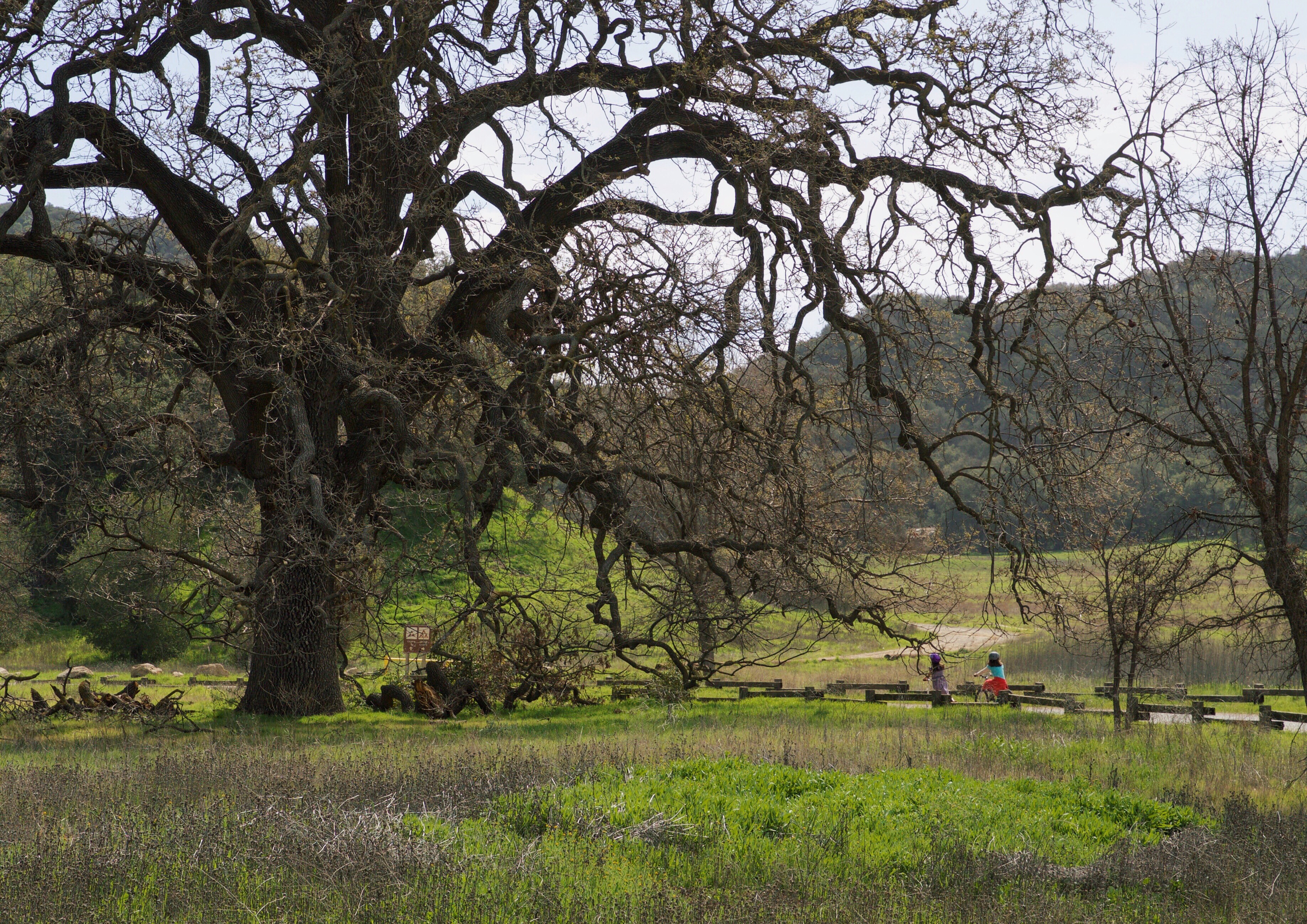 Camp at Malibu Creek State Park