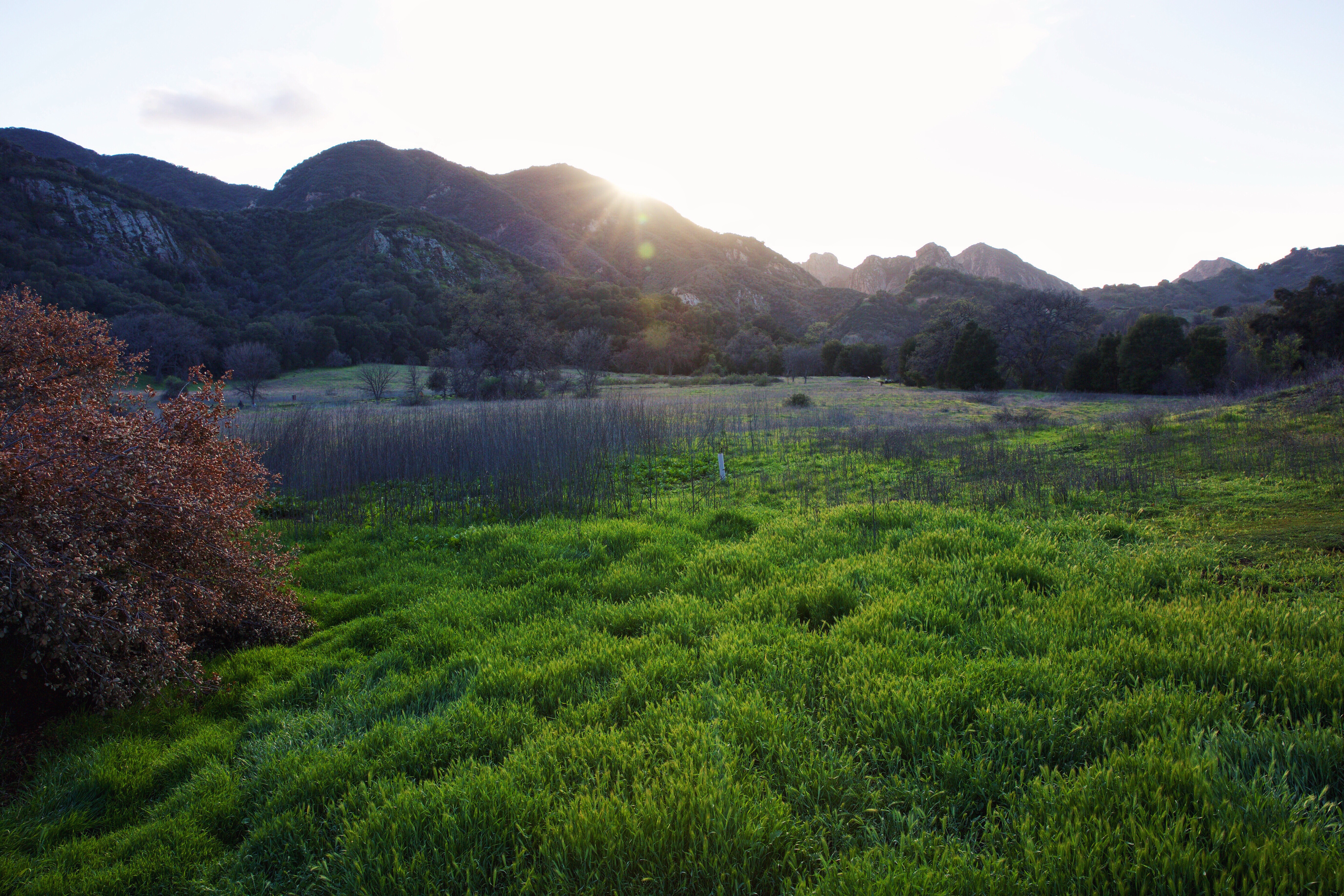 Camp at Malibu Creek State Park