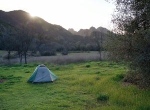 Camp at Malibu Creek State Park