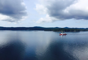 Snorkle Ketchikan's Tongass Narrows