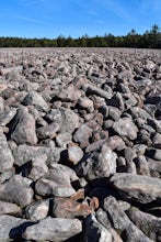 Explore Boulder Field in Hickory Run State Park