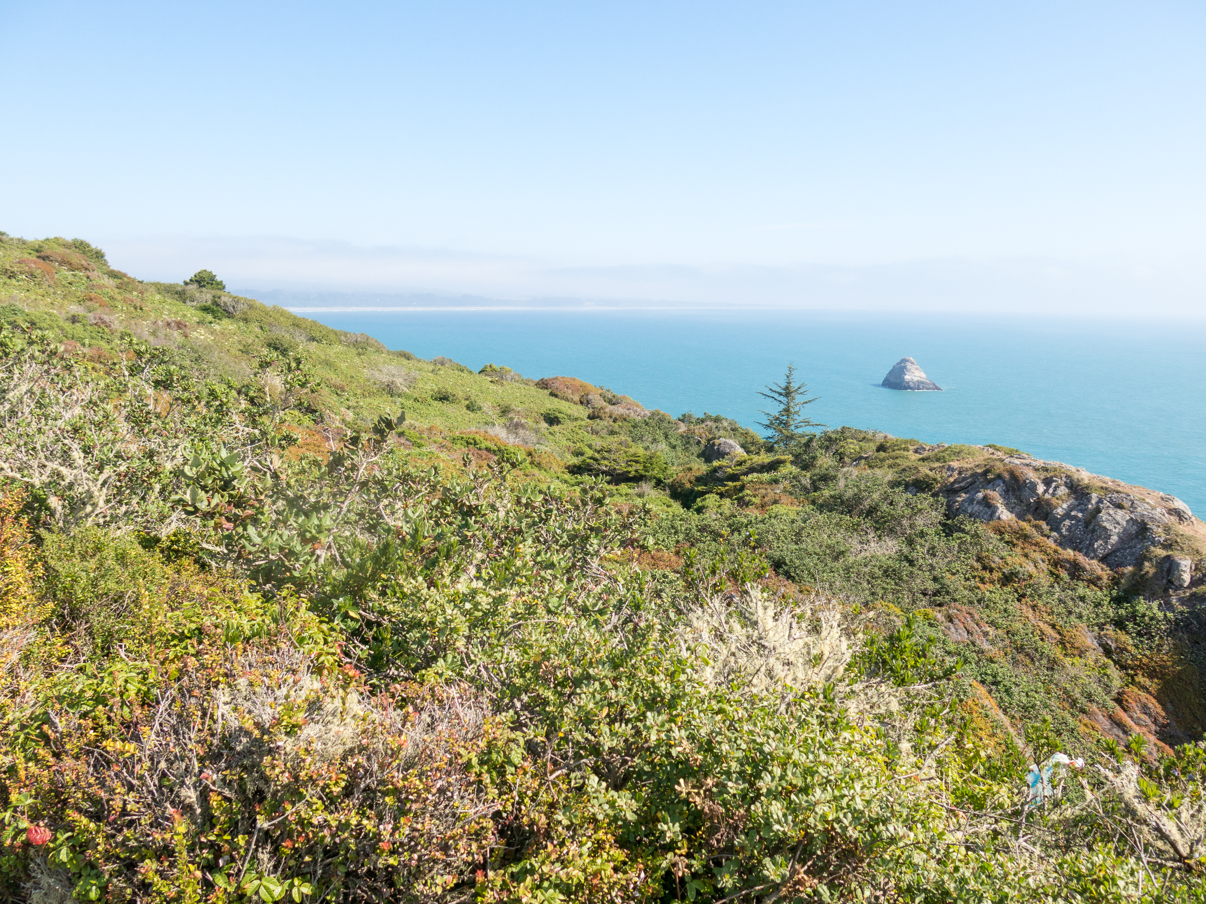 Trinidad Head