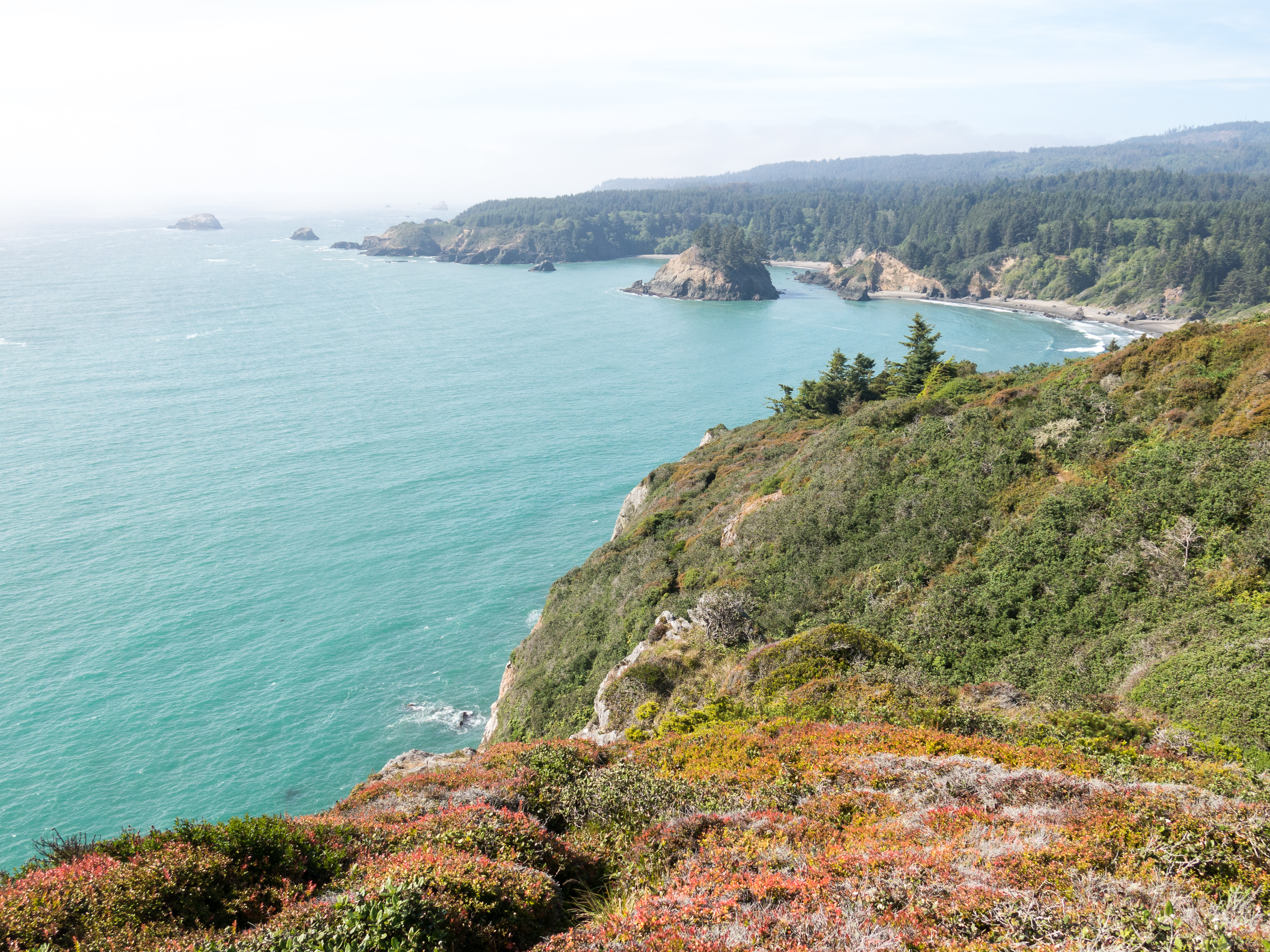 Trinidad Head