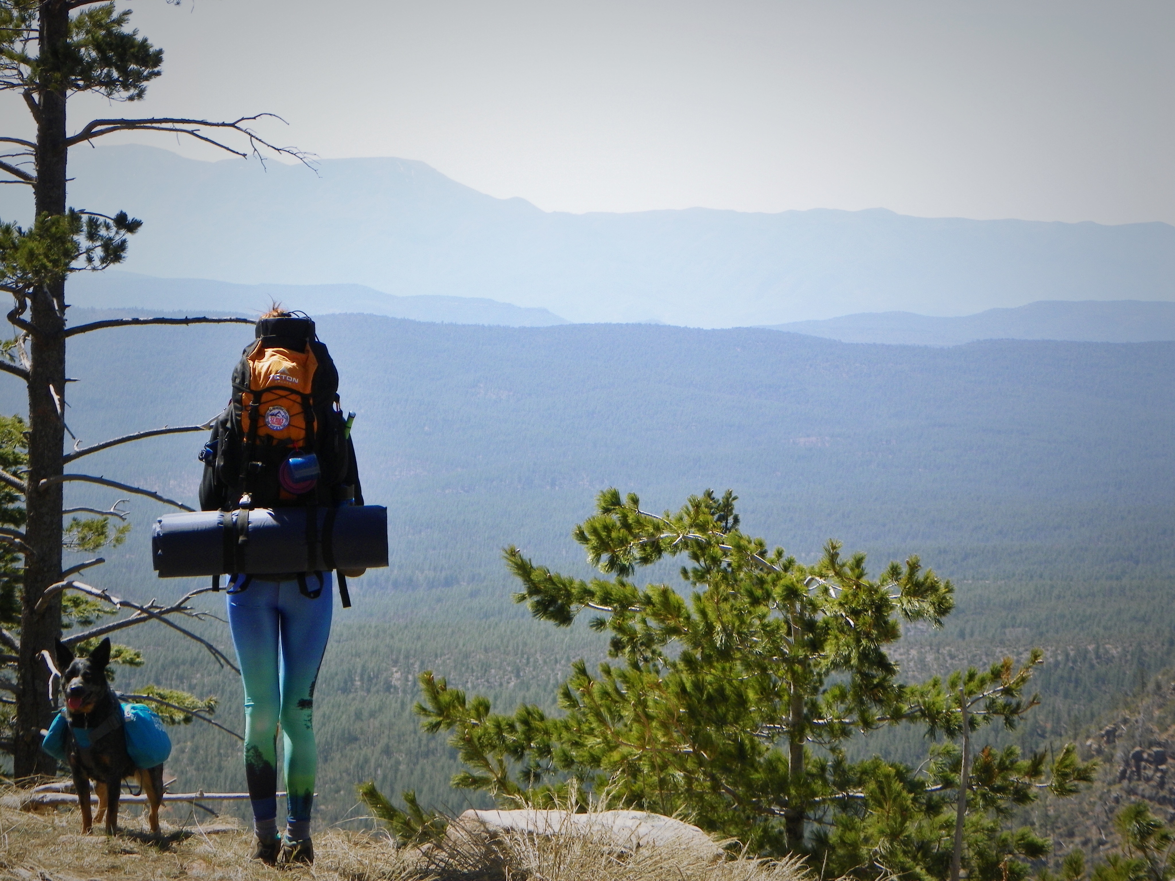Mogollon Rim via Washington Park