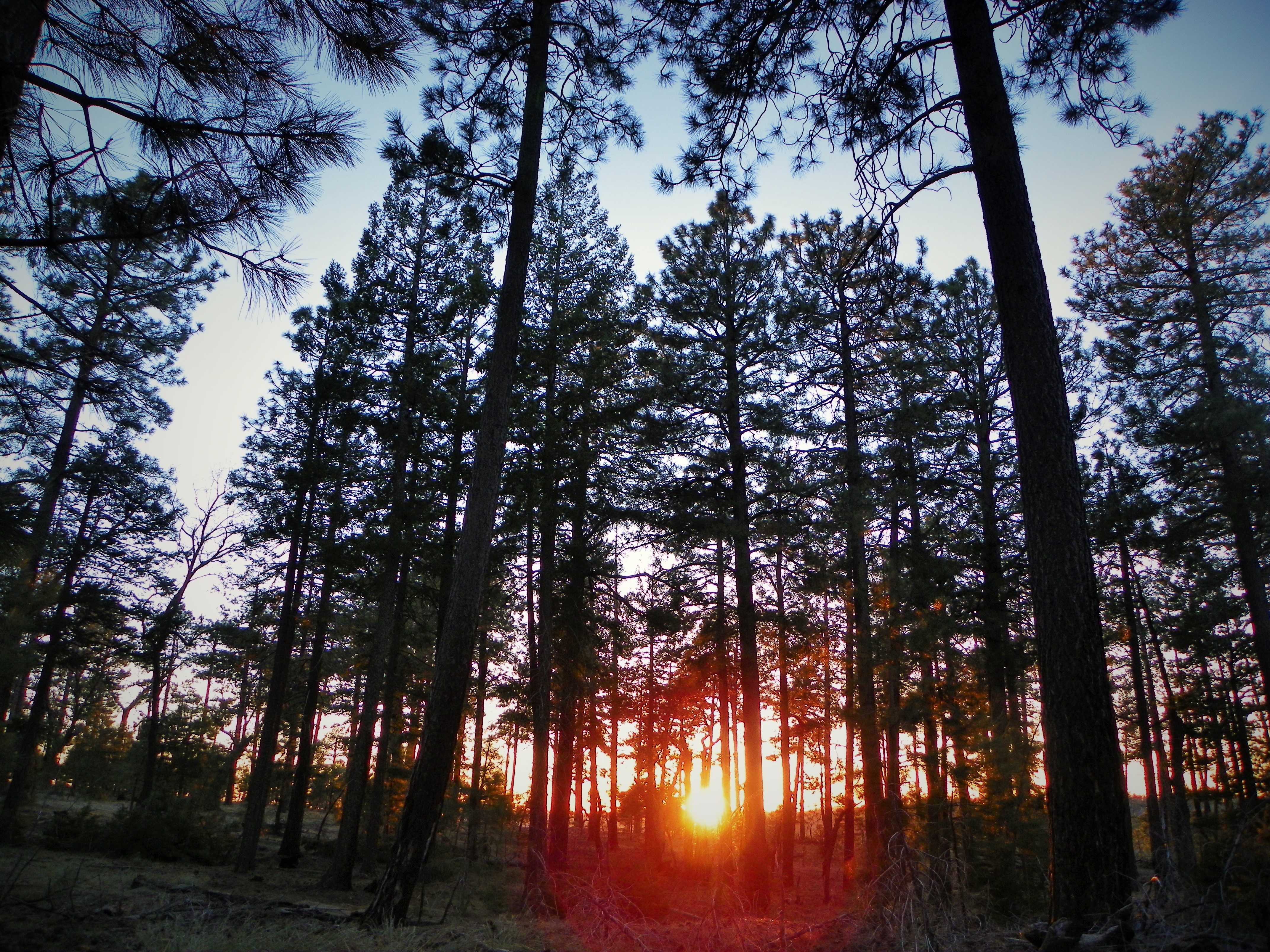 Mogollon Rim via Washington Park