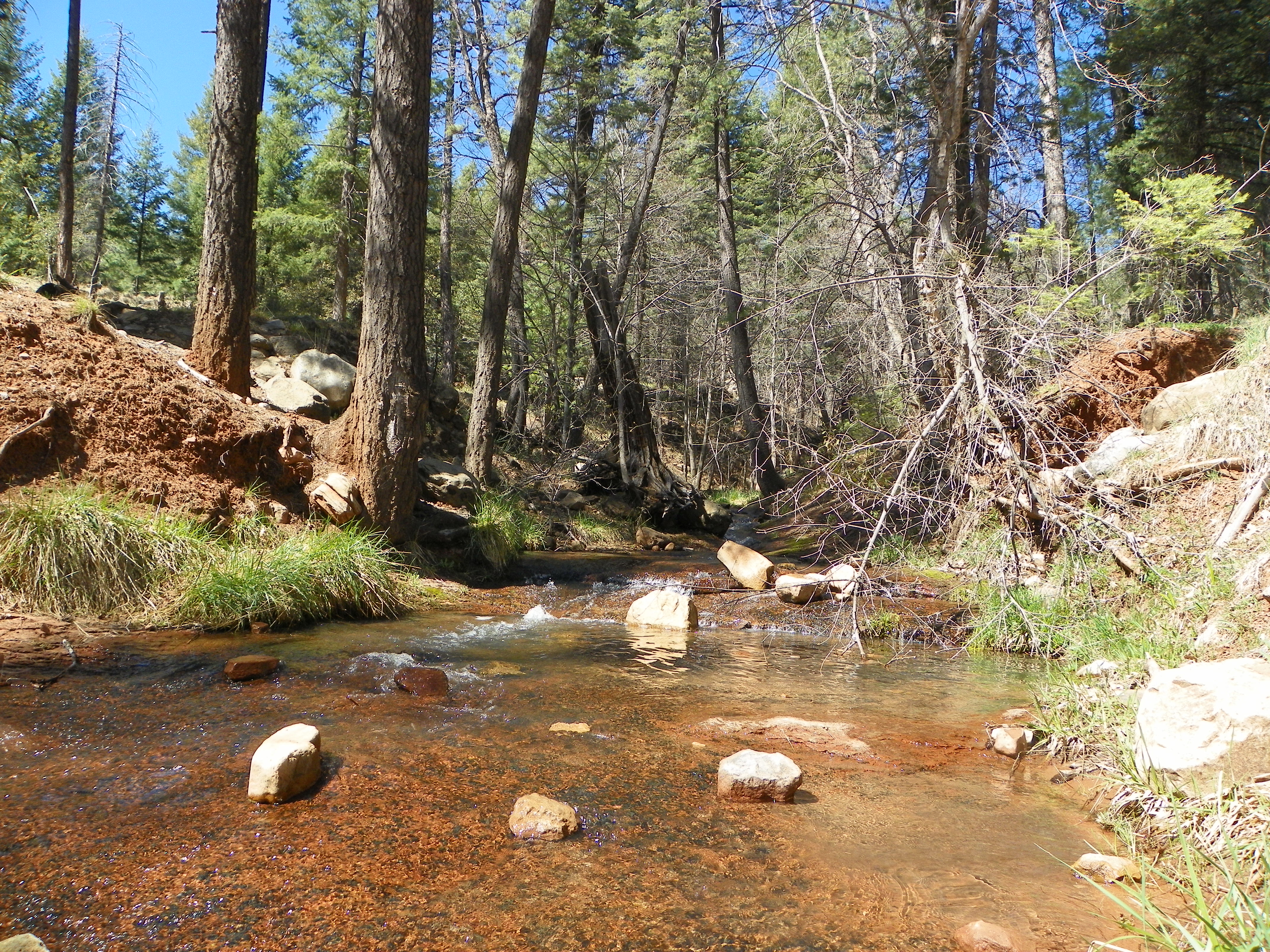 Mogollon Rim via Washington Park