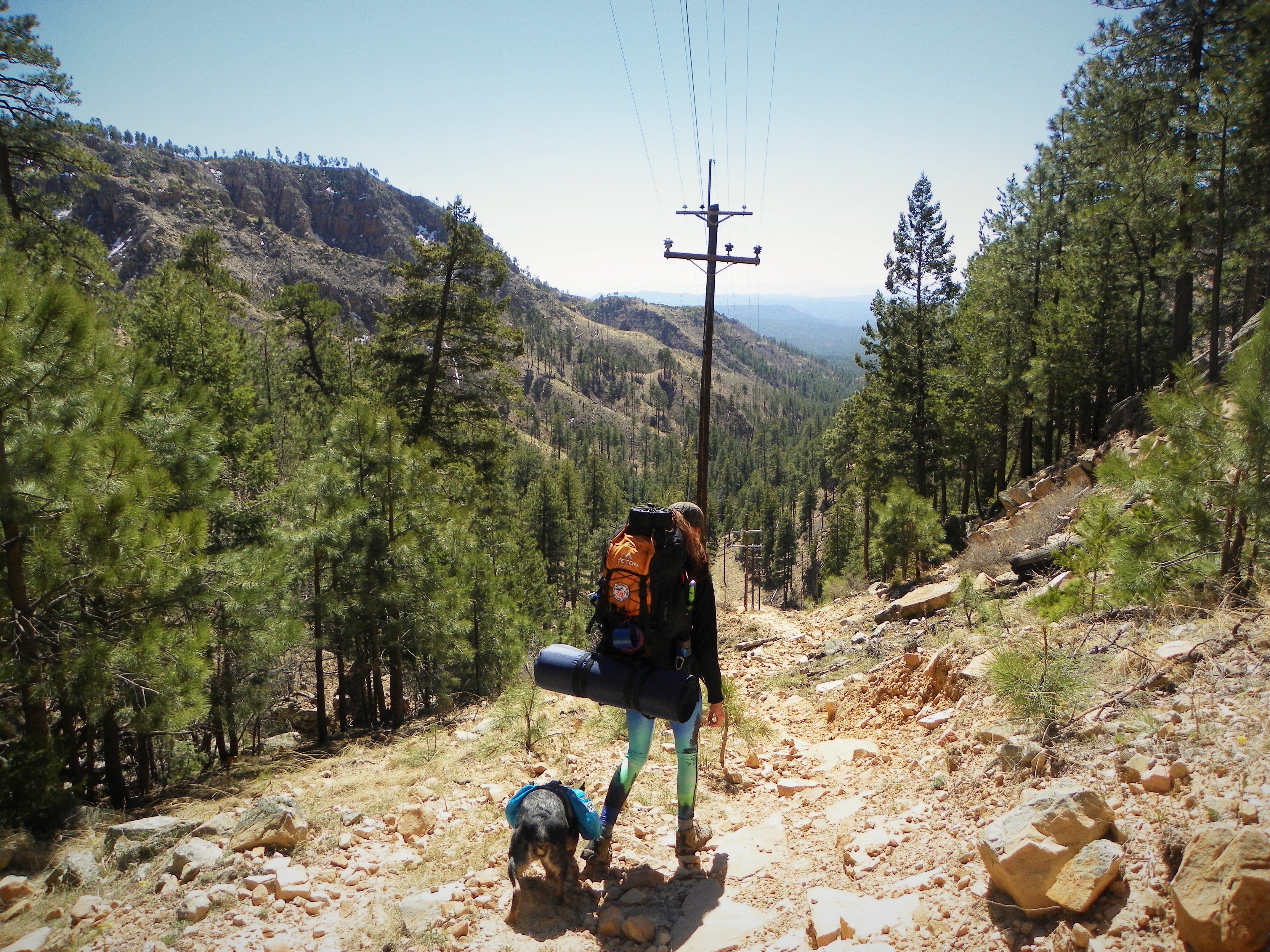 Mogollon Rim via Washington Park