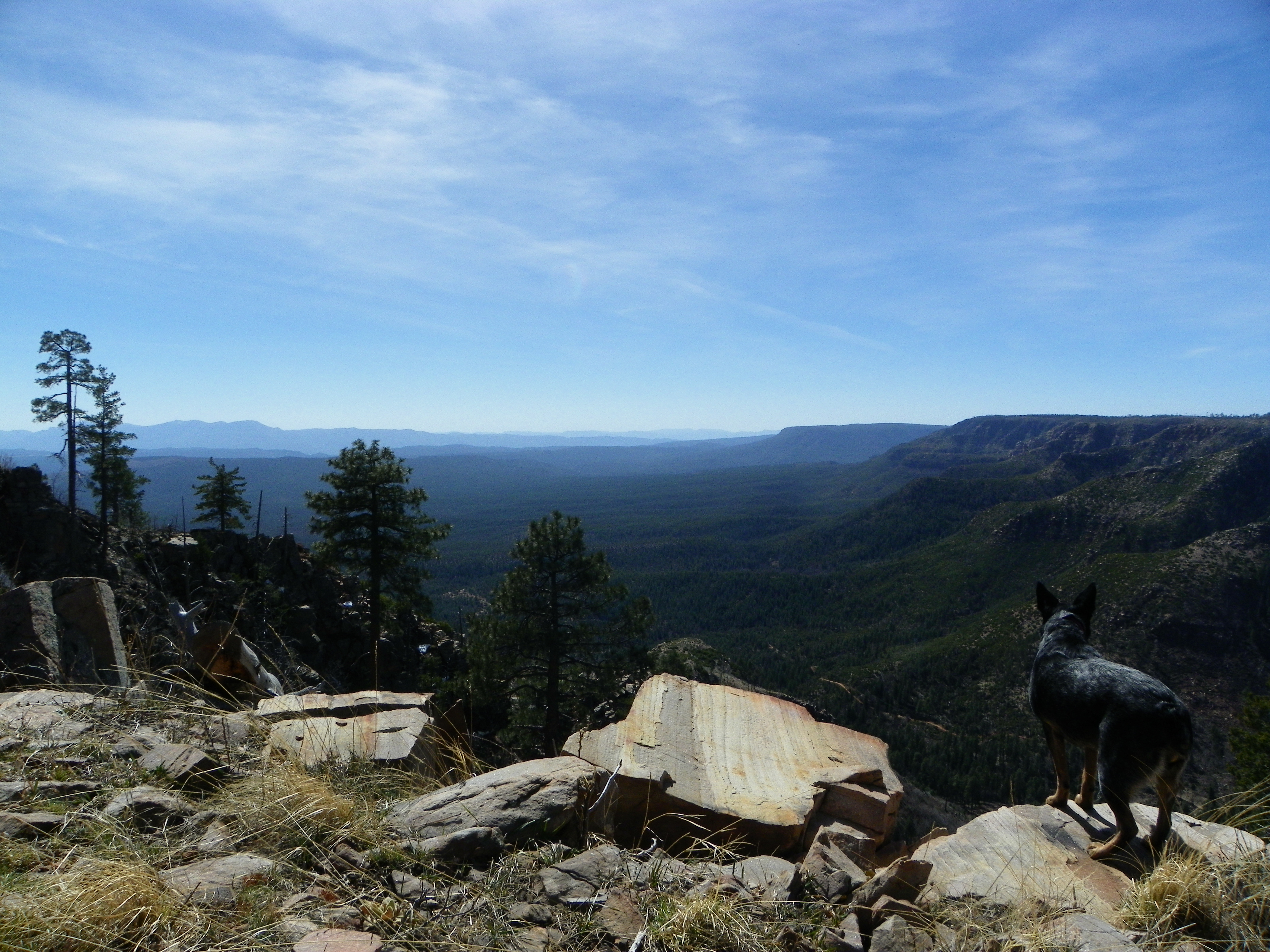 Mogollon Rim via Washington Park