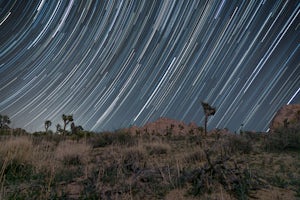 Boy Scout's Trail in Joshua Tree