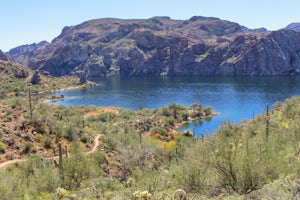 Hike Butcher Jones Trail Around Saguaro Lake