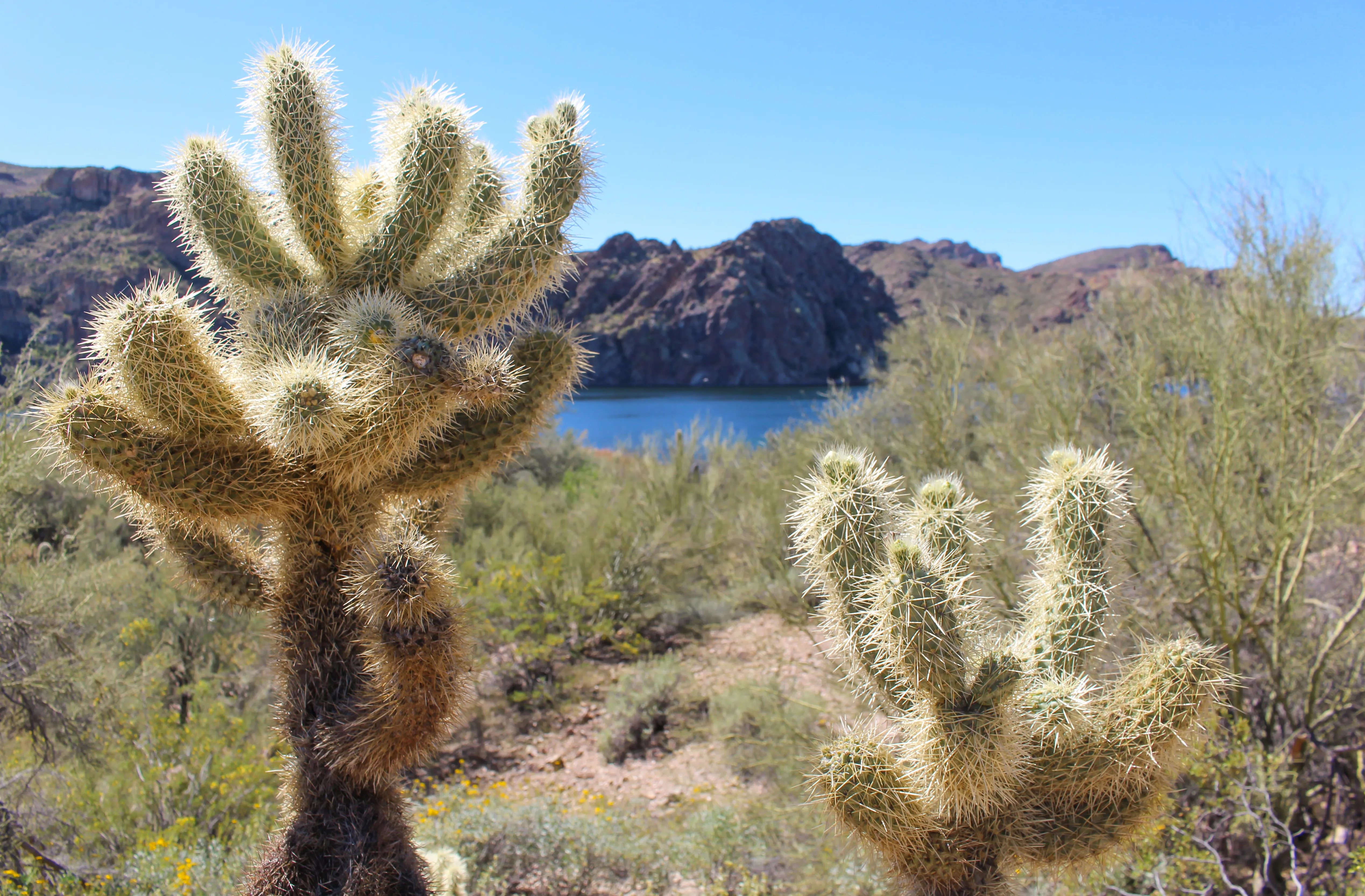 Butcher Jones Trail