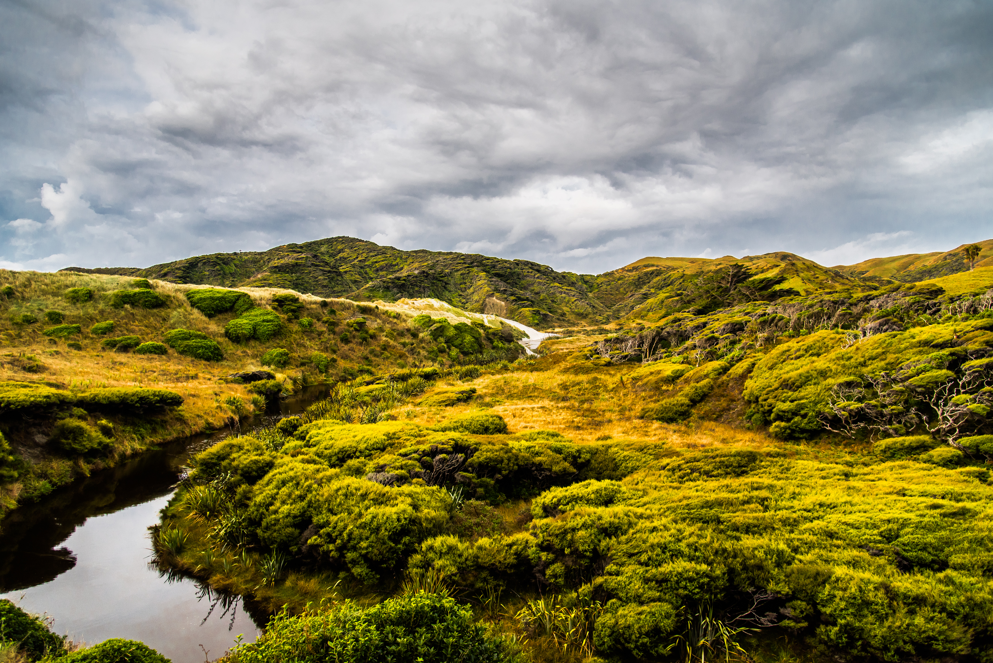 Hike to Wharariki Beach