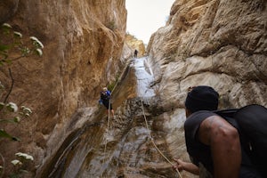 Hike to and Rapel Thalehaha Falls in Rubio Canyon