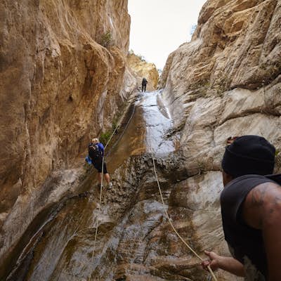 Hike to and Rapel Thalehaha Falls in Rubio Canyon