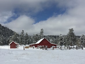 Snowshoe or Cross-Country Ski at Caribou Ranch