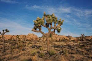 Hike the Barker Dam