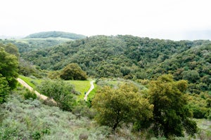 Hike the Pulgas Ridge Open Space Preserve Loop