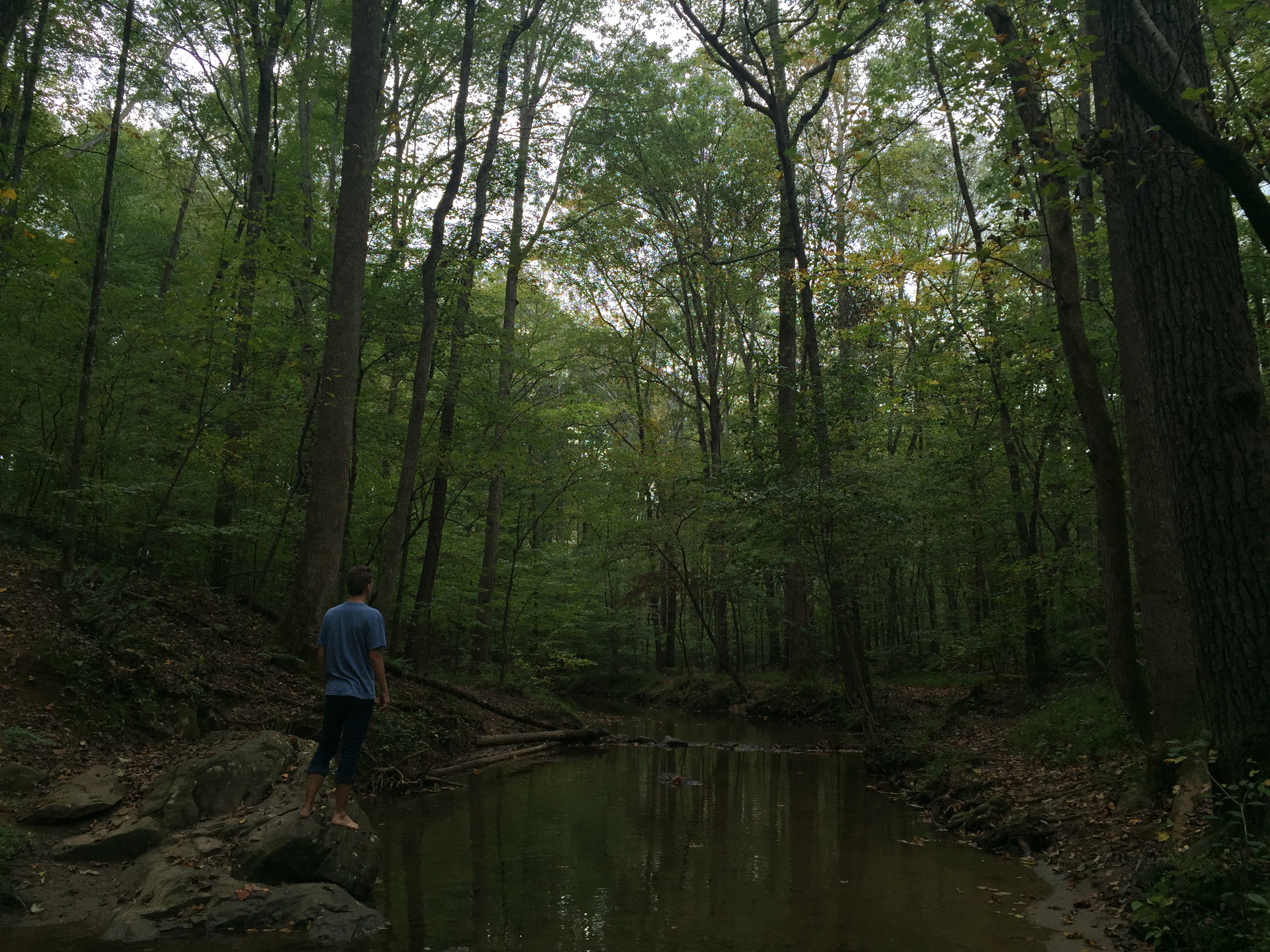 Hike to Noses Creek 