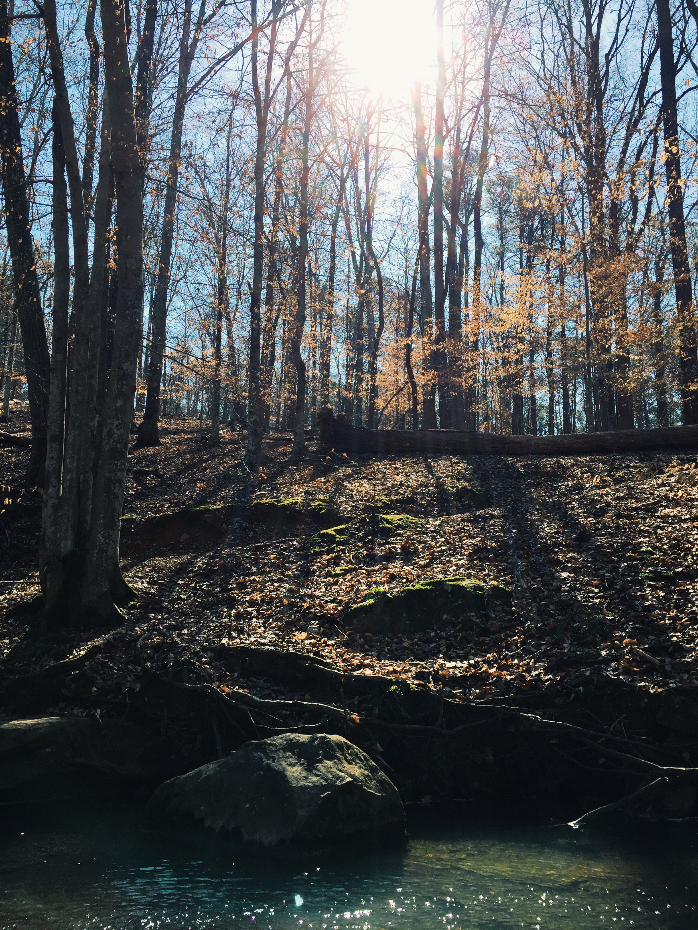 Hike to Noses Creek 
