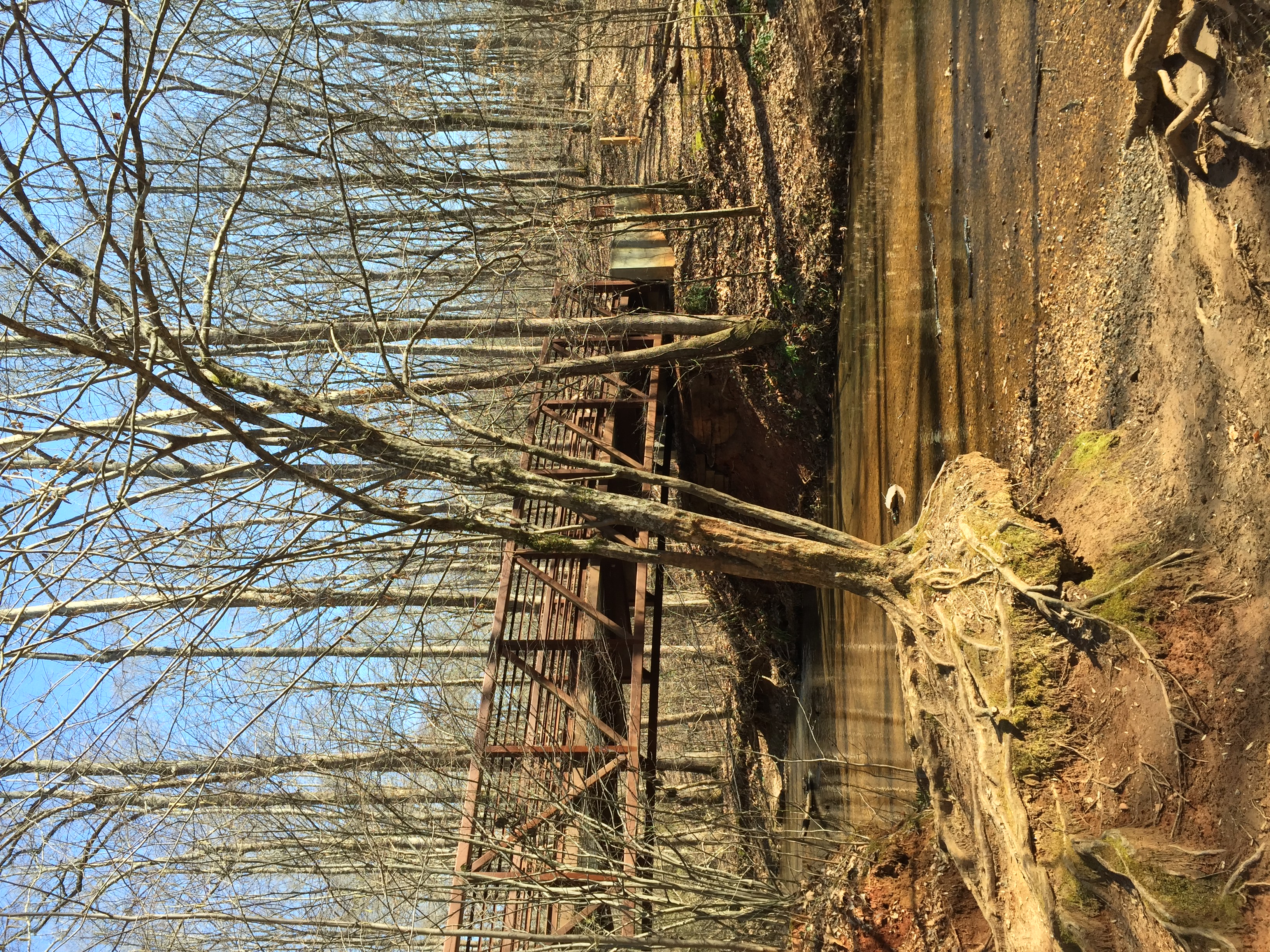 Hike to Noses Creek 