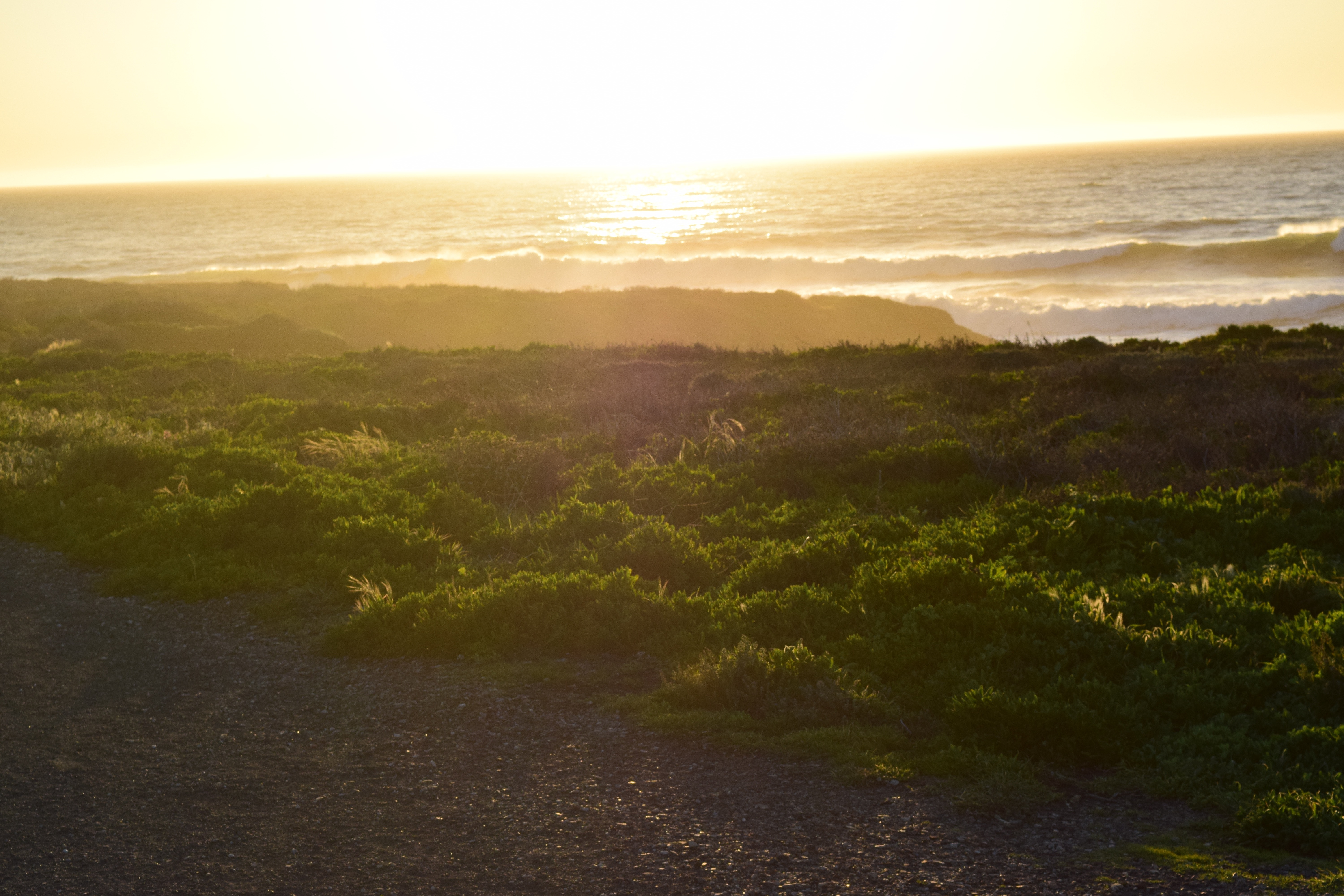 Montaña de Oro Bluff Trail