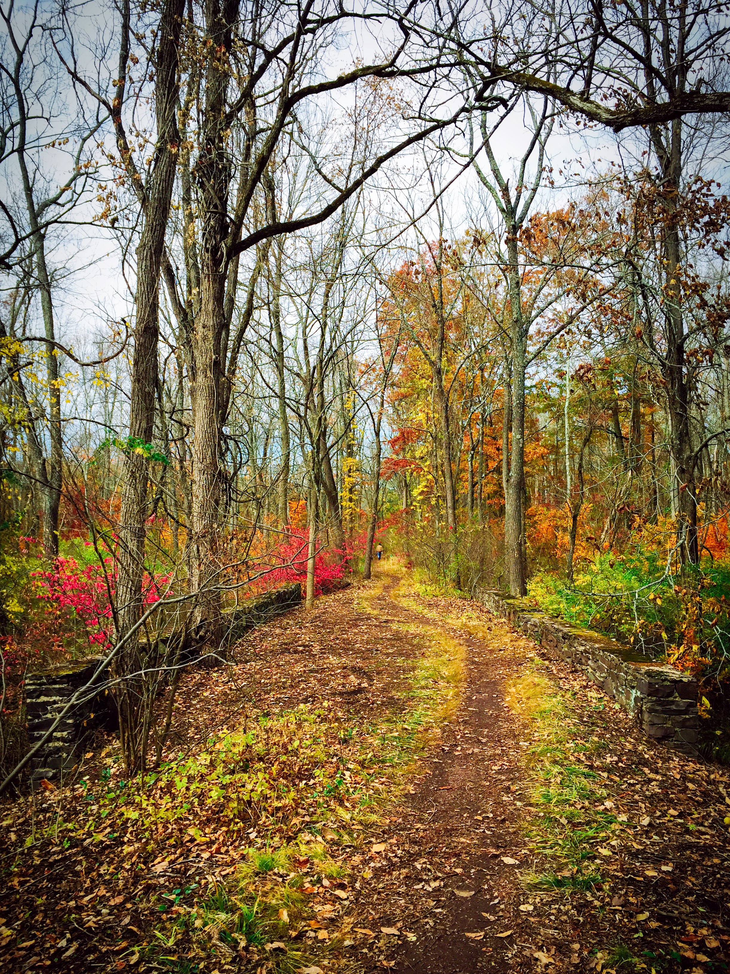 Mountain Lakes Nature Preserve Loop